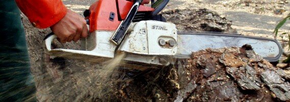 chainsaws in actionchainsaws in action